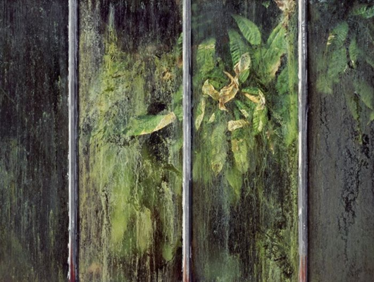 Martin Bilinovac, Gewächshaus III, tirage Fine Art pigmentaire sur papier baryté mat Hahnemühle, 2024