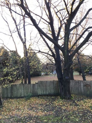 Mariejon de Jong-Buijs, iExist, 2025, installation spécifique au site comprenant 730 photographies en couleur (détail)